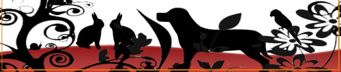 Animal Niche Footer