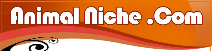 Animal Niche Header